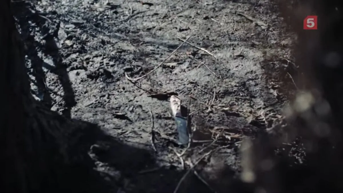 Фото галереи #4